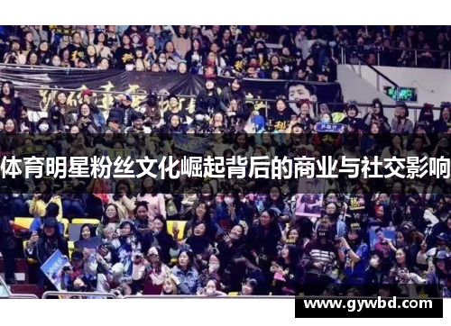 体育明星粉丝文化崛起背后的商业与社交影响