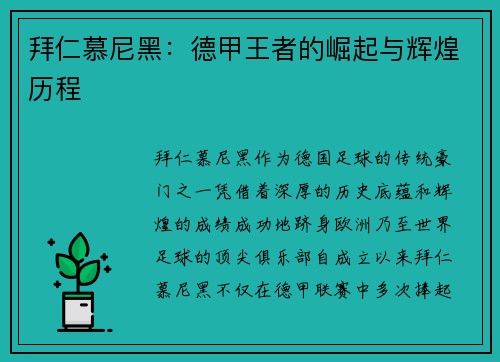 拜仁慕尼黑：德甲王者的崛起与辉煌历程